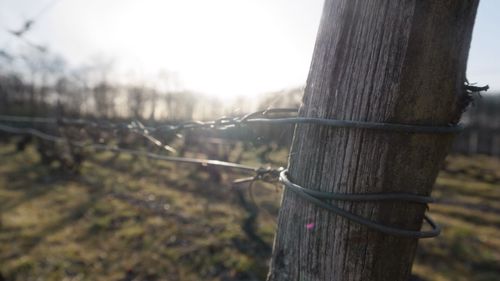 Close-up of wooden fence