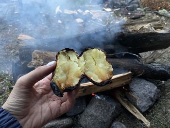 Fried potatoes on the fire, camping food, vegetarians