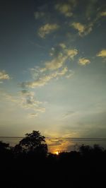 Silhouette of trees at sunset