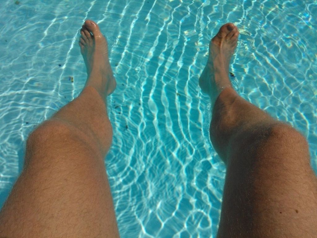 low section, person, barefoot, personal perspective, human foot, swimming pool, one animal, high angle view, blue, part of, animal themes, water, lifestyles, leisure activity, relaxation, pets