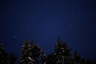 Low angle view of star field against star field