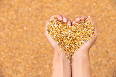 Close-up of hand holding sand