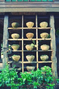 Potted plants growing in shelf