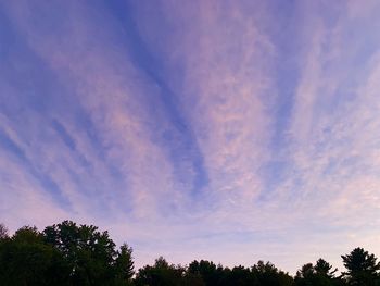 Low angle view of silhouette trees against sky at sunset