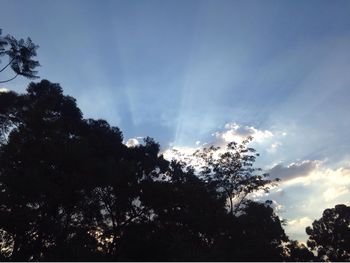 Low angle view of silhouette trees against sky