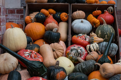 Squashes in open box at tyntesfield