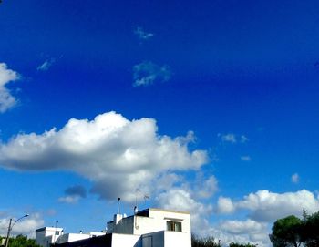 Low angle view of trees against sky