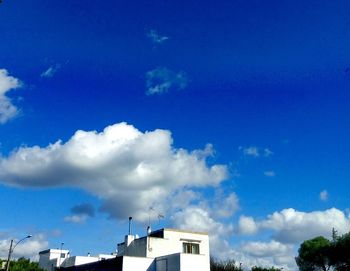 Low angle view of trees against sky