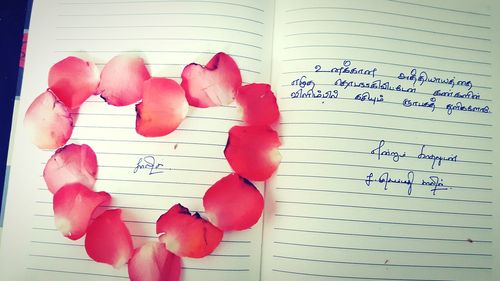Close-up of pink flowers