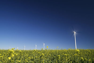 Windmills for renewable electric energy production in spain.