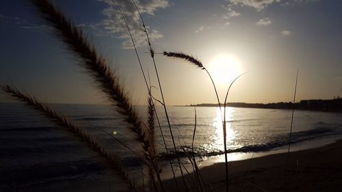 Scenic view of sea against sky at sunset