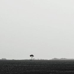 Scenic view of landscape