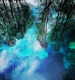 Scenic view of trees against blue sky