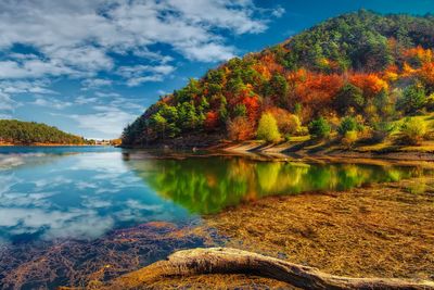 Scenic view of lake by trees against sky