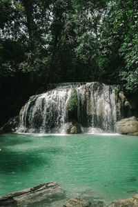 Scenic view of waterfall in forest