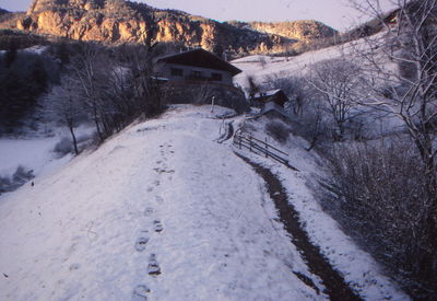 Snow covered road amidst buildings and trees during winter