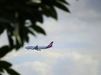 Low angle view of airplane flying in sky