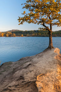 Scenic view of lake against clear sky