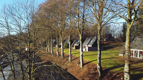 Bare trees on field against sky