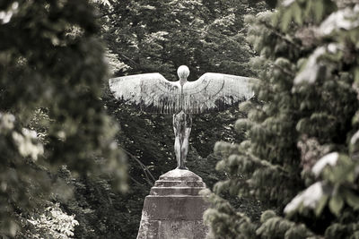 Rear view of winged statue against trees