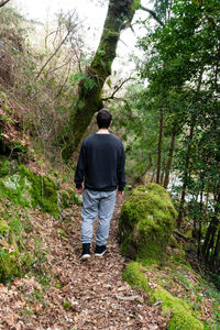 Rear view of man walking in forest