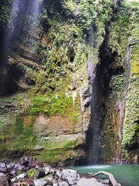 Scenic view of waterfall in forest