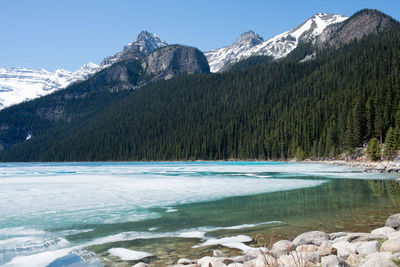 Beautiful landscape on a sunny day at frozen lake luise. people walking in the distance. 