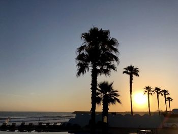 Silhouette palm trees on beach against sky during sunset