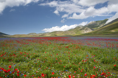 Scenic view of grassy field against cloudy sky