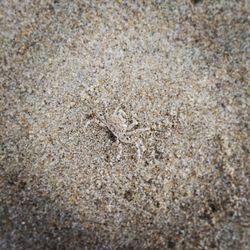 Full frame shot of white background