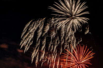 Low angle view of firework display at night