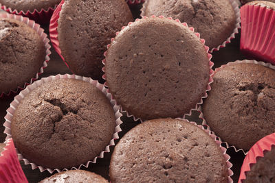 Close-up of chocolate chip muffins