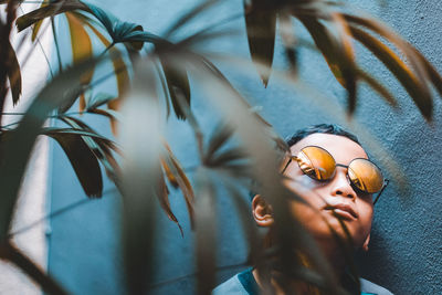 Close-up of boy wearing sunglasses by plants against wall