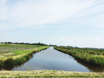 Scenic view of grassy field against sky