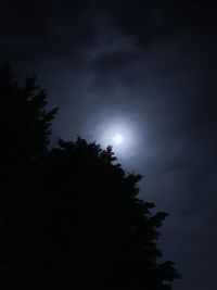 Low angle view of silhouette trees against sky at night