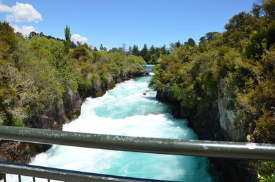 Scenic view of river amidst trees against sky