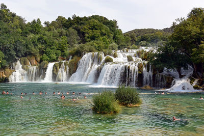 People swimming in river by waterfall at forest