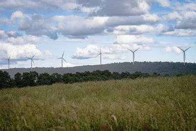 environmental conservation