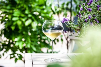 Close-up of wineglass on table