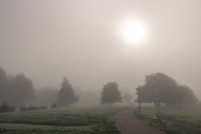 mist