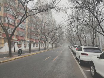 Cars on road in city