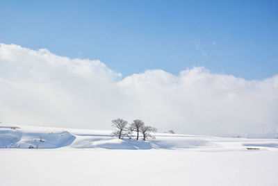 Scenic view of snow covered field against sky