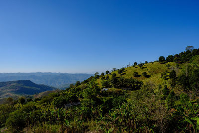 Scenic view of mountains against clear blue sky