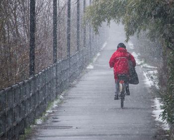 Rear view of person riding bicycle on road during winter