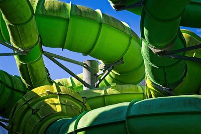 Low angle view of green plant against blue sky