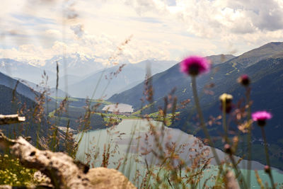 Scenic view of pink and mountains against sky