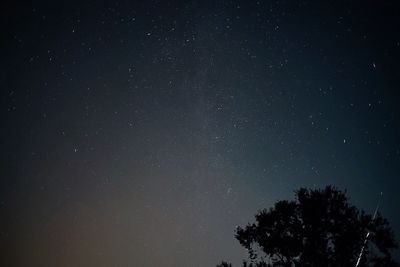 Low angle view of silhouette trees against star field