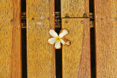 Close-up of closed wooden door