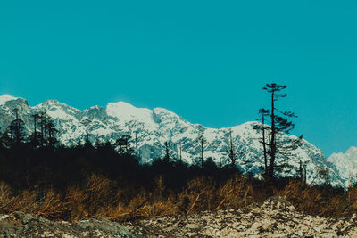 Scenic view of snowcapped mountains against clear blue sky