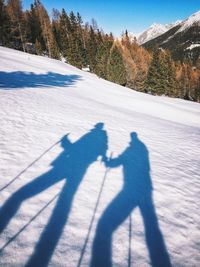 Shadow of people skiing on snowcapped mountain